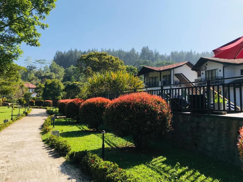 Okwin Resort Kandy Eksteriør billede