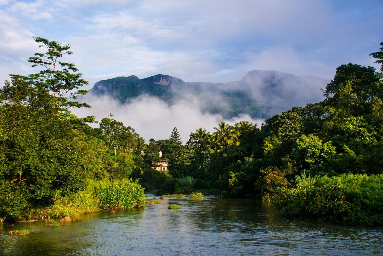 Okwin Resort Kandy Eksteriør billede