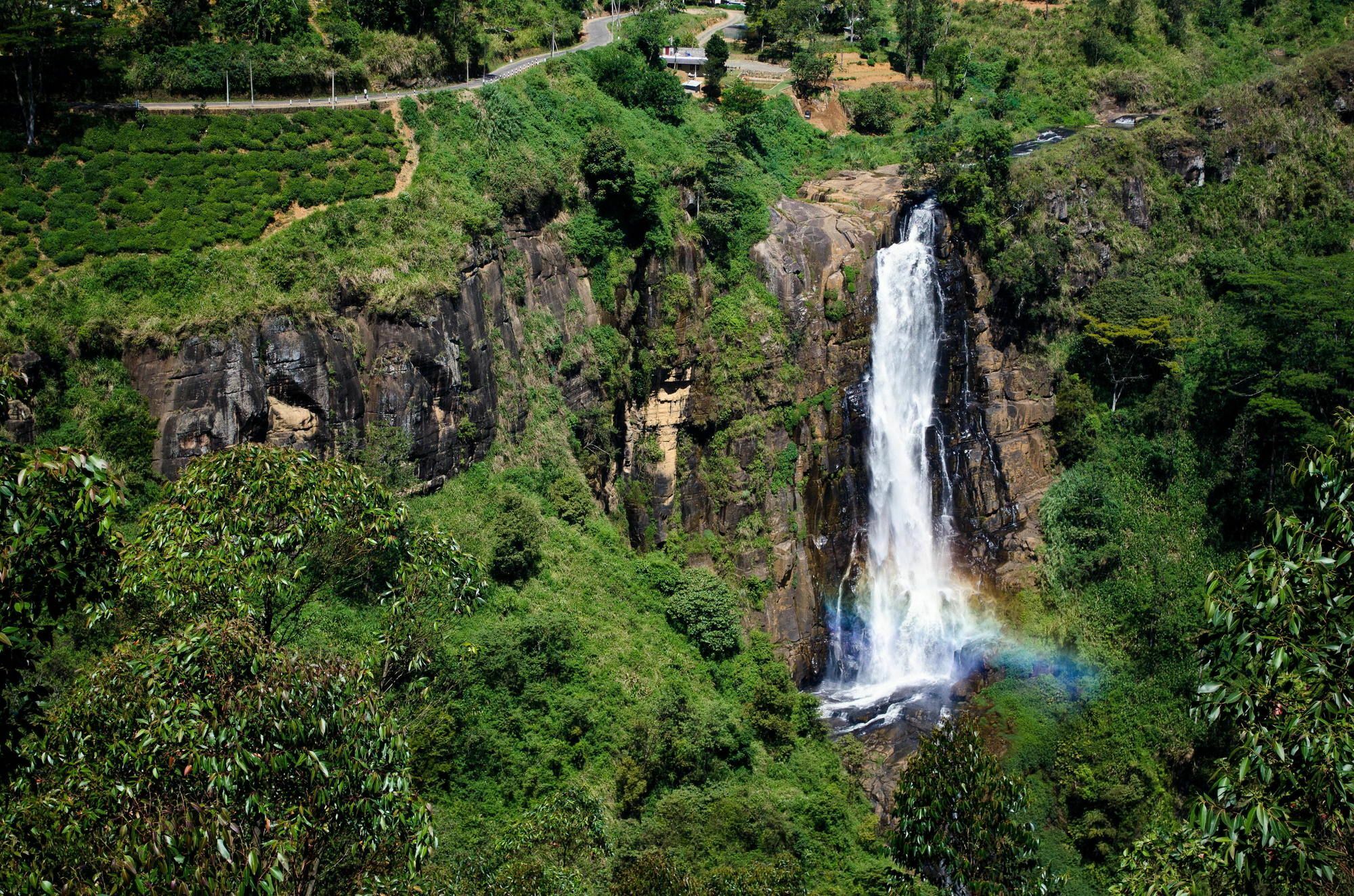 Okwin Resort Kandy Eksteriør billede
