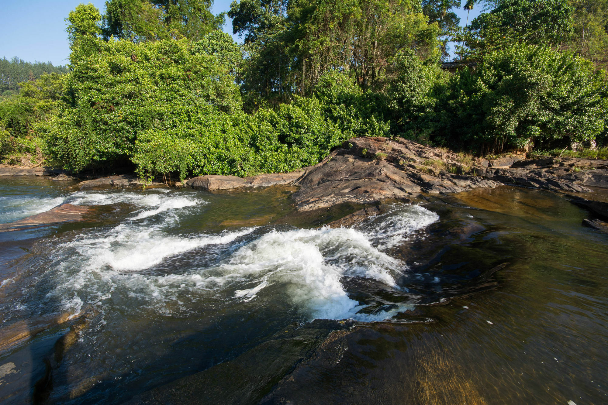 Okwin Resort Kandy Eksteriør billede